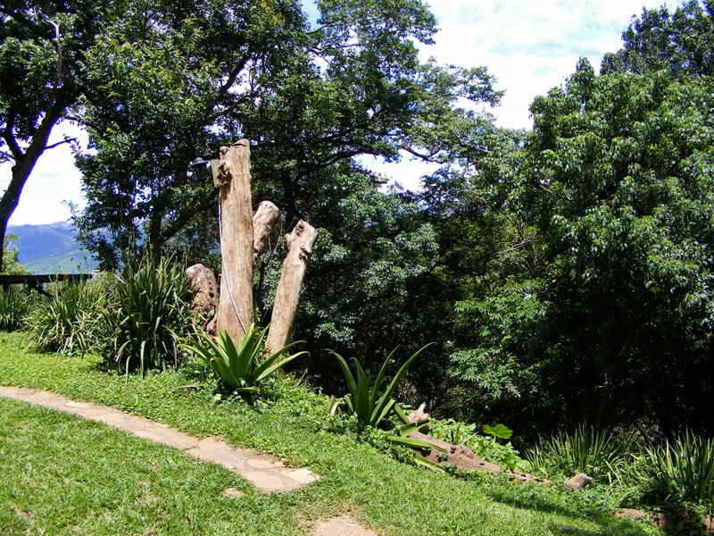 TravellingMan | Swaziland -- New Day