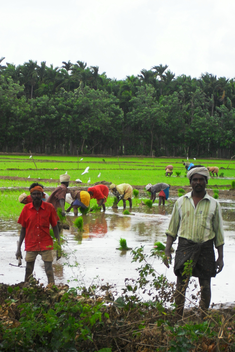 No its not National Geographic, this is where i live.