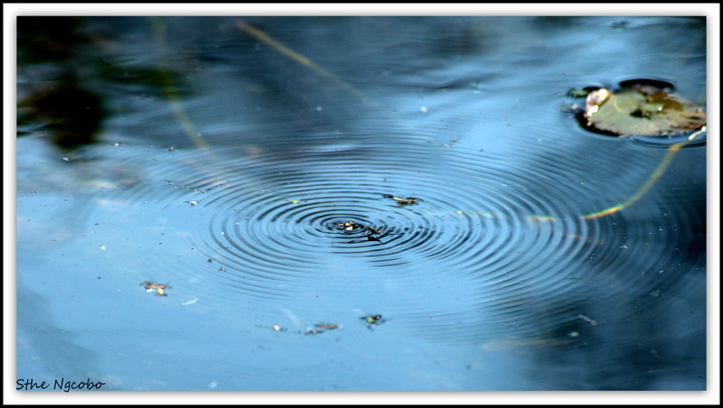 Ripple effect.........