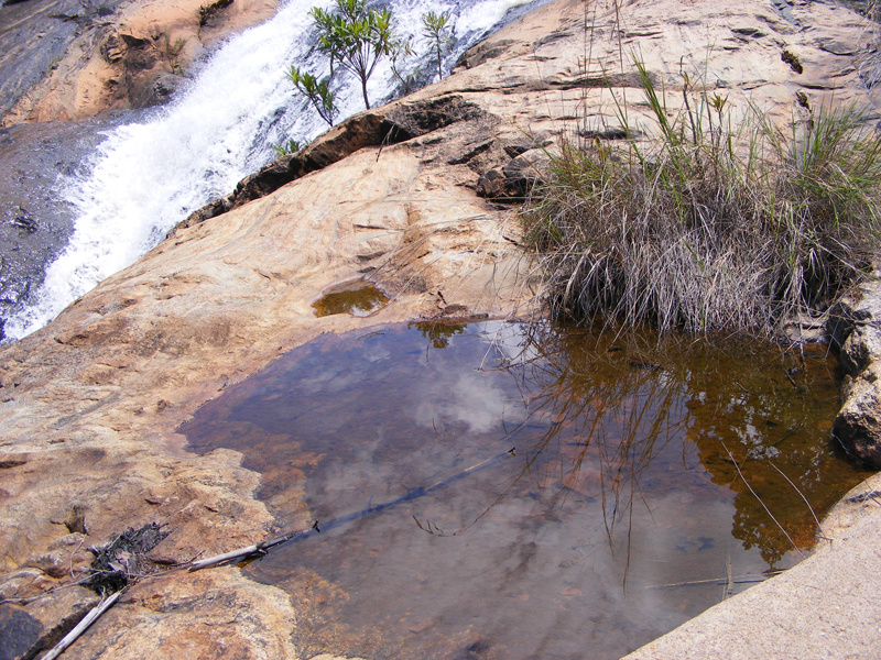 TravellingMan | Swaziland -- Sediba