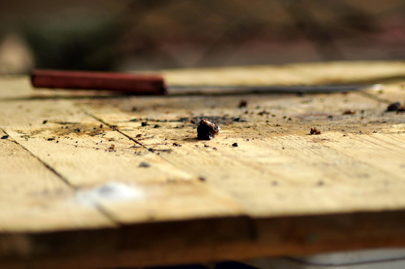 Izinsalela (left overs)