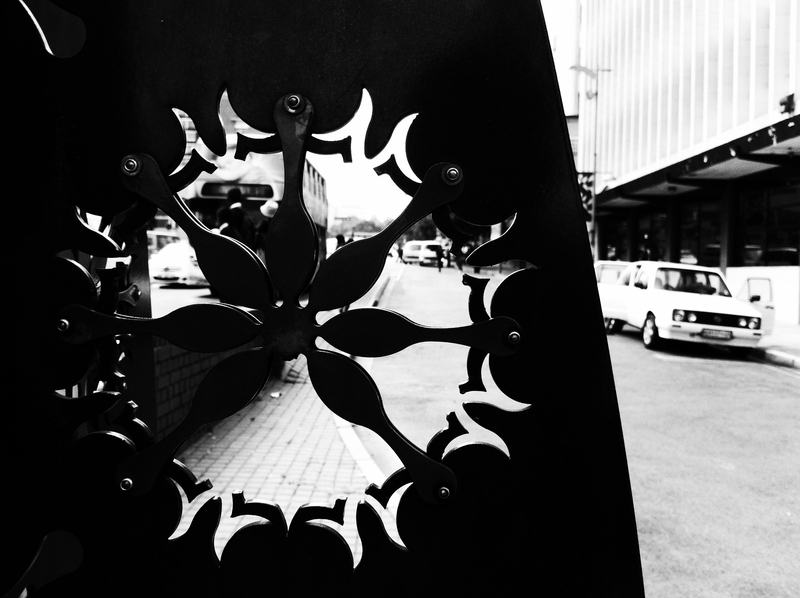 The Metallic Floral Rays