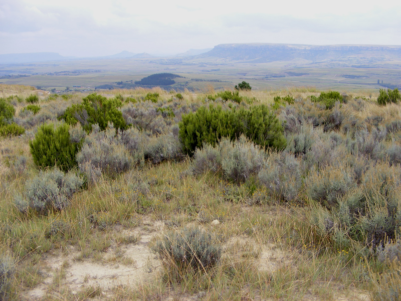 TravellingMan | Semongkong [1]