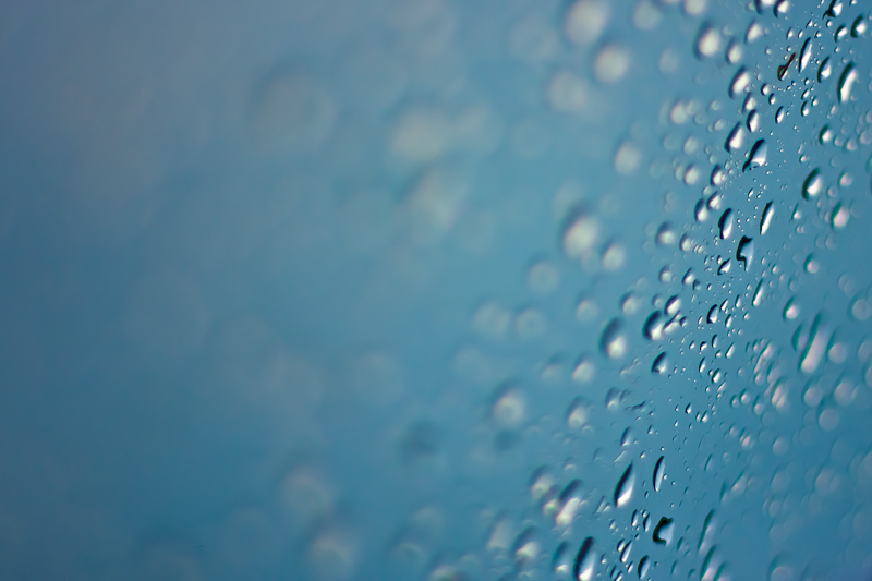 Short Skirt, Long Jacket