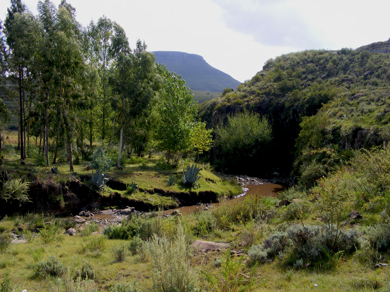 TravellingMan | Semongkong [4]