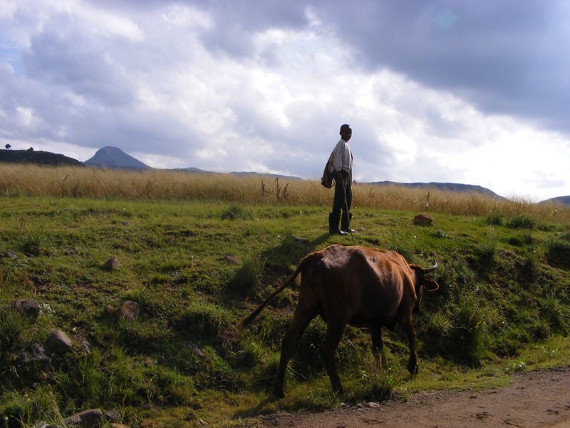 TravellingMan | Semongkong [6]