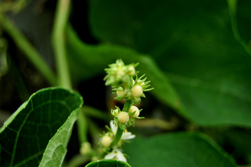 Next generation.......