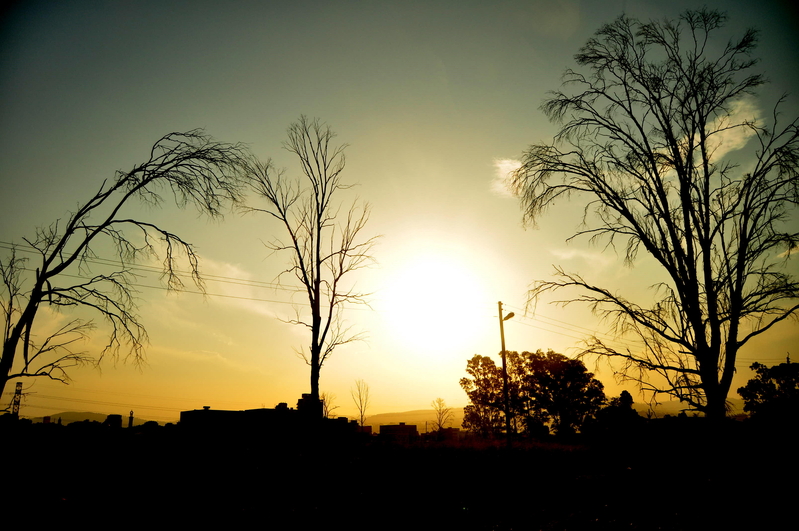 Hellow world.....through my window