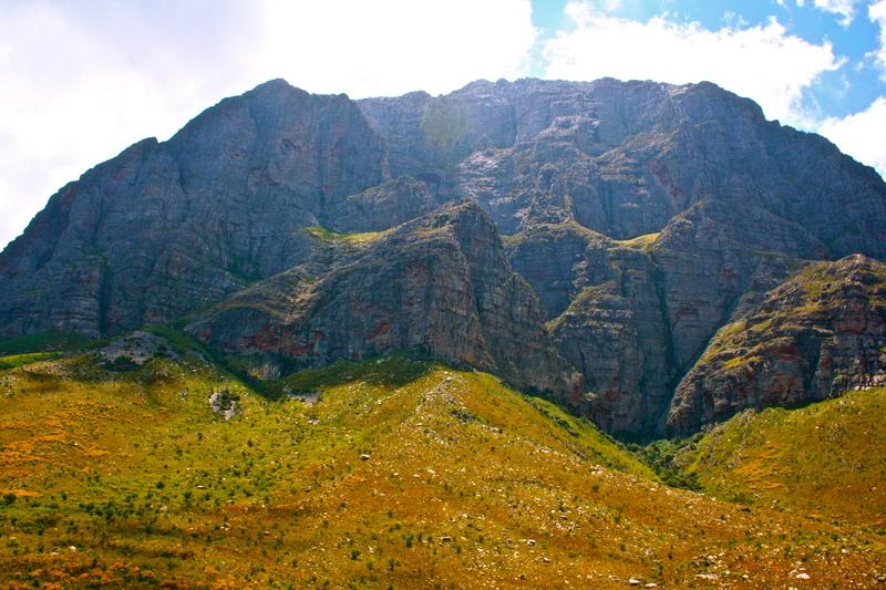 this aint joburg bitch