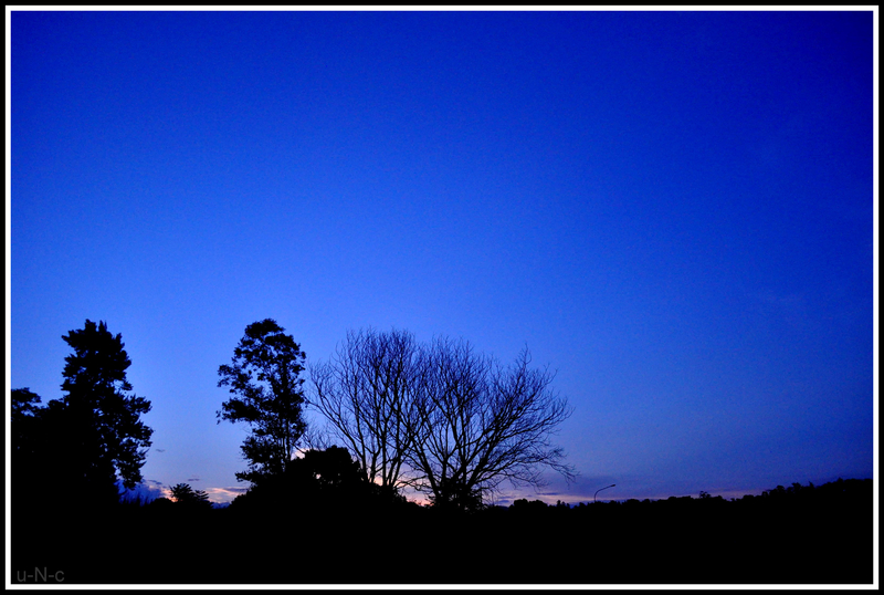 Welcoming the night.......