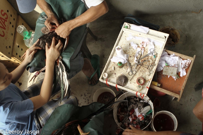 Where Winners Go to get healed