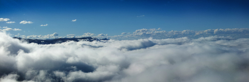 A Sight Worth Seeing