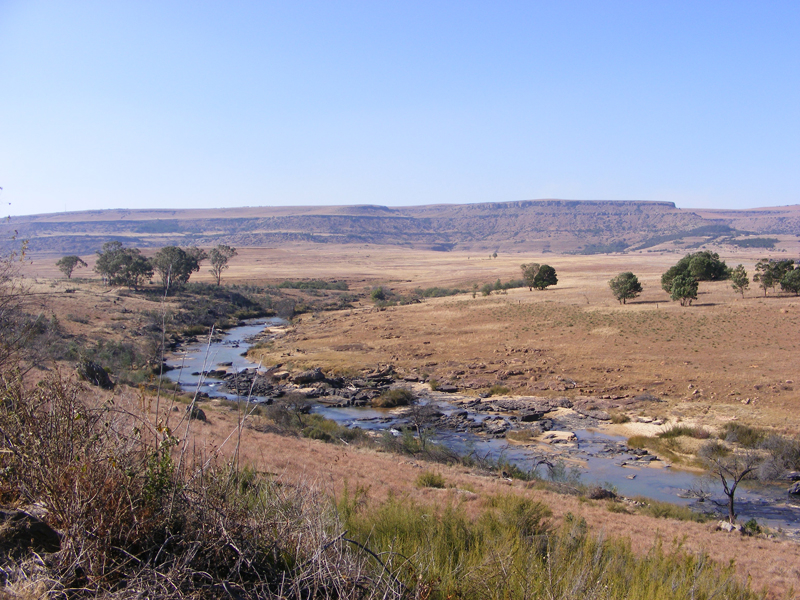 TravellingMan | Tsitsa