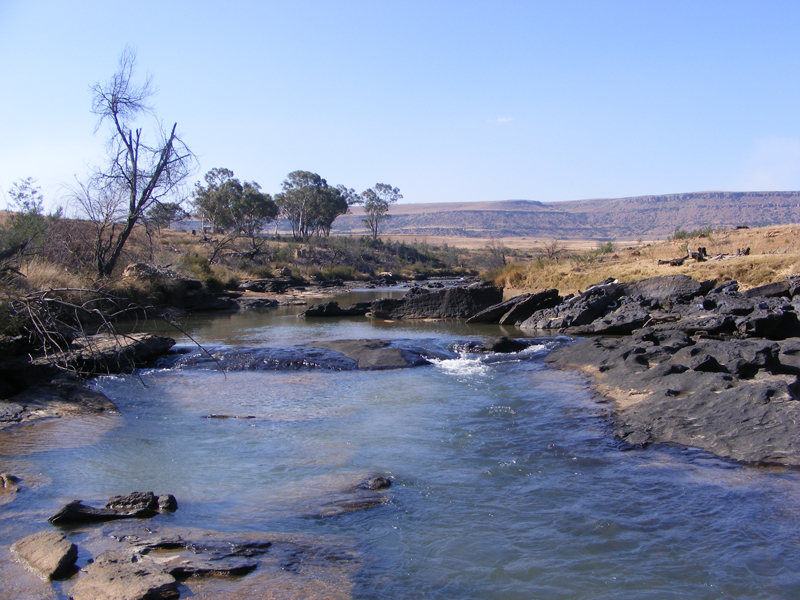 TravellingMan | Tsitsa