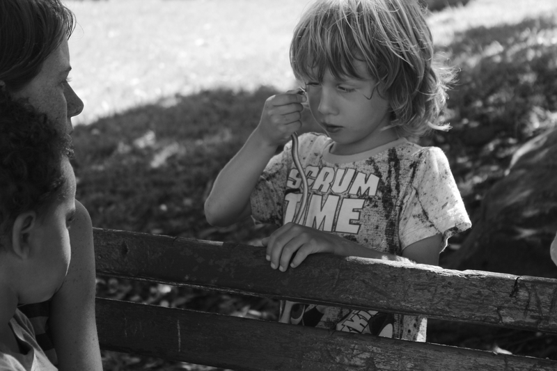 a re encarnate Tom Sawyer