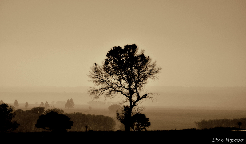 on the side of the road