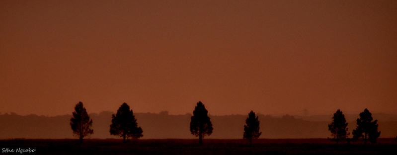 On the side of the road #2