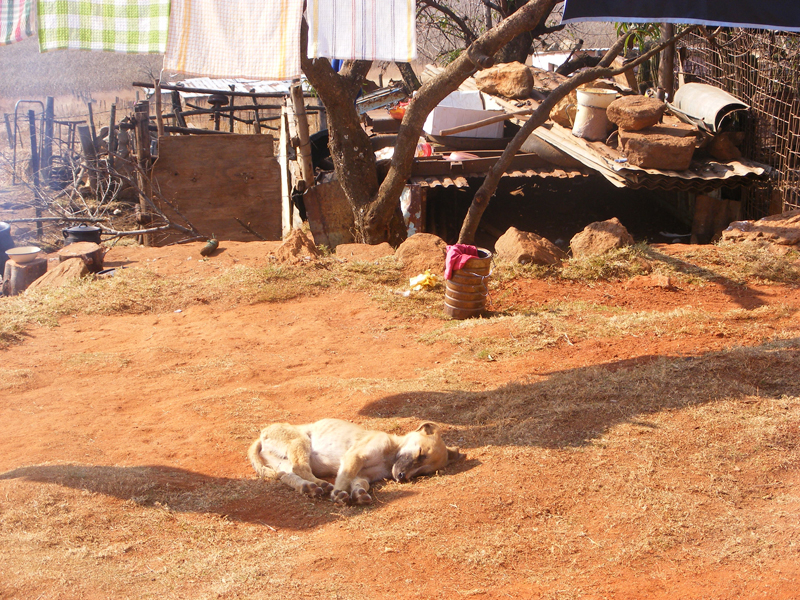 TravellingMan | Taung [14] - Lounging