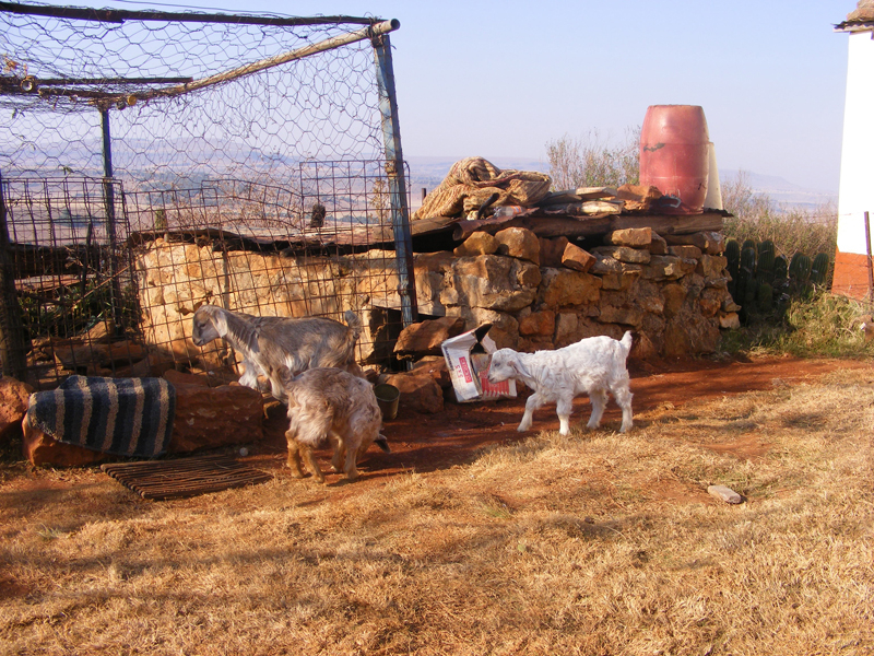 TravellingMan | Taung [15] - Kids