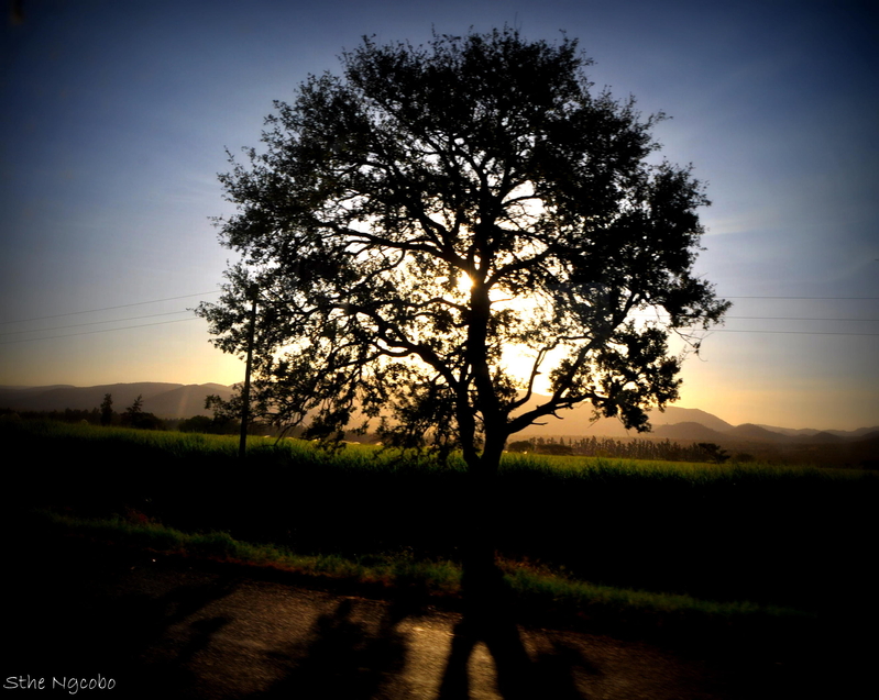 From Malelane to Matsulu.....