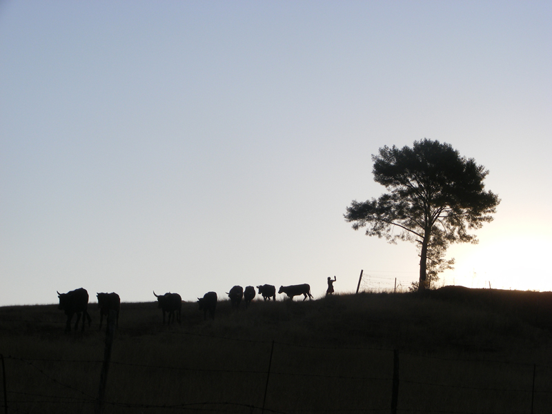 TravellingMan | Taung [17] - The Return