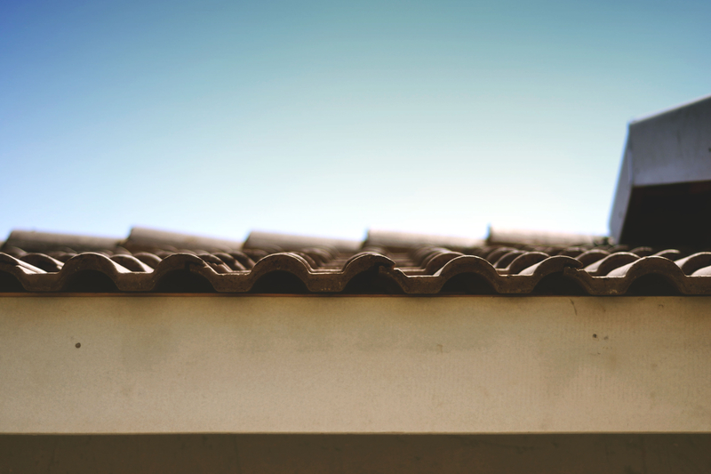 Sky's The Beginning...