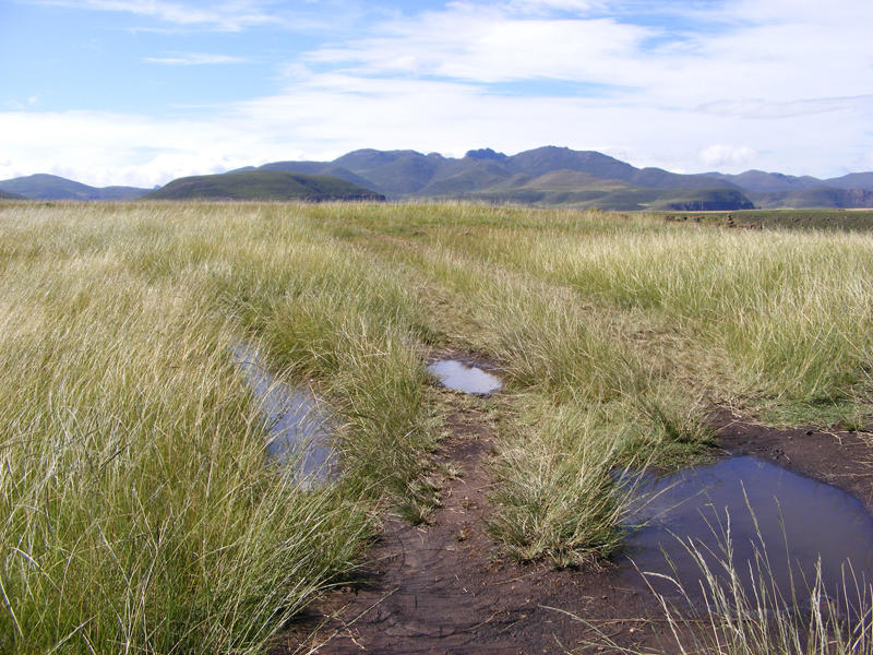 TravellingMan | Semongkong [24]