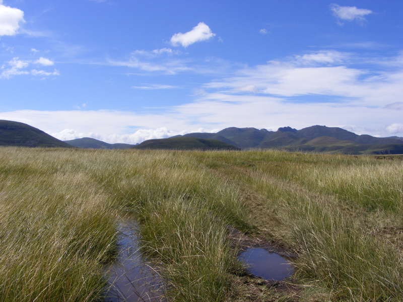 TravellingMan | Semongkong [25]