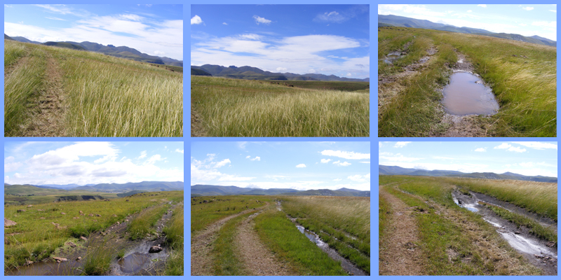 TravellingMan | Semongkong [27]