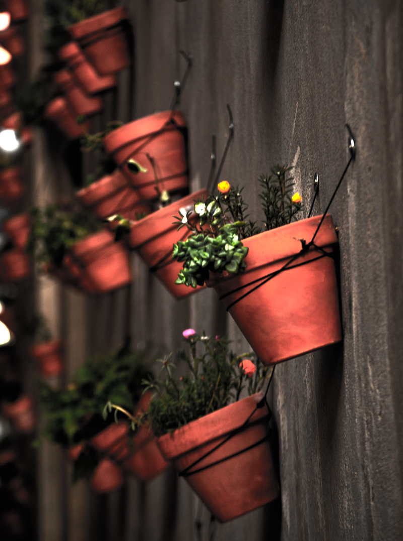 I wanna call this forever