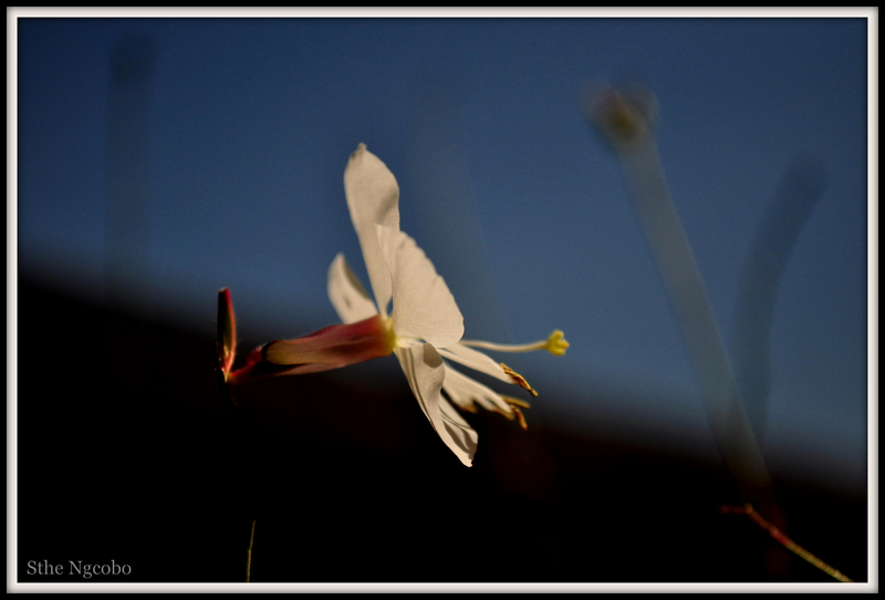 One sunday evening......