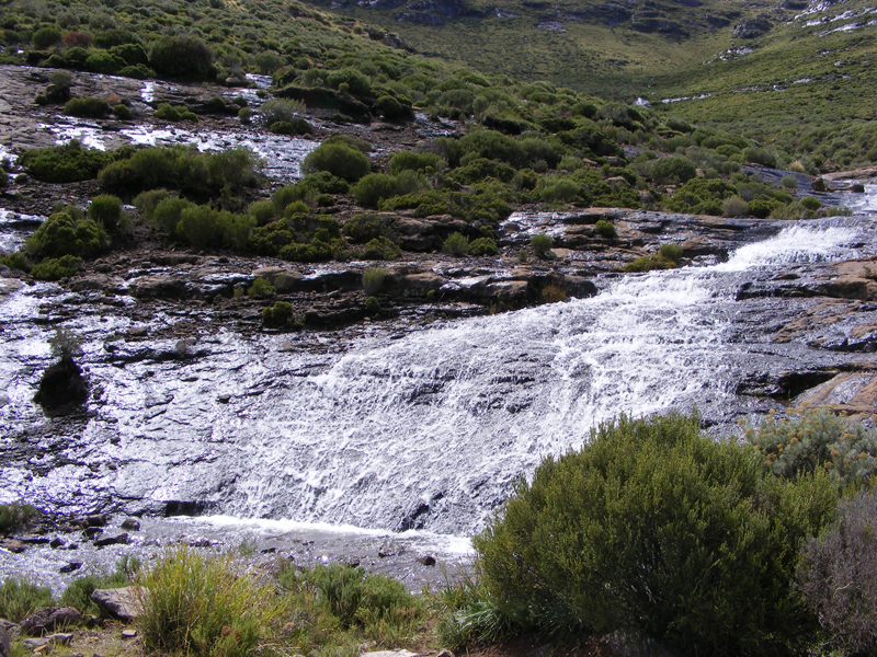 TravellingMan | Semongkong [41]