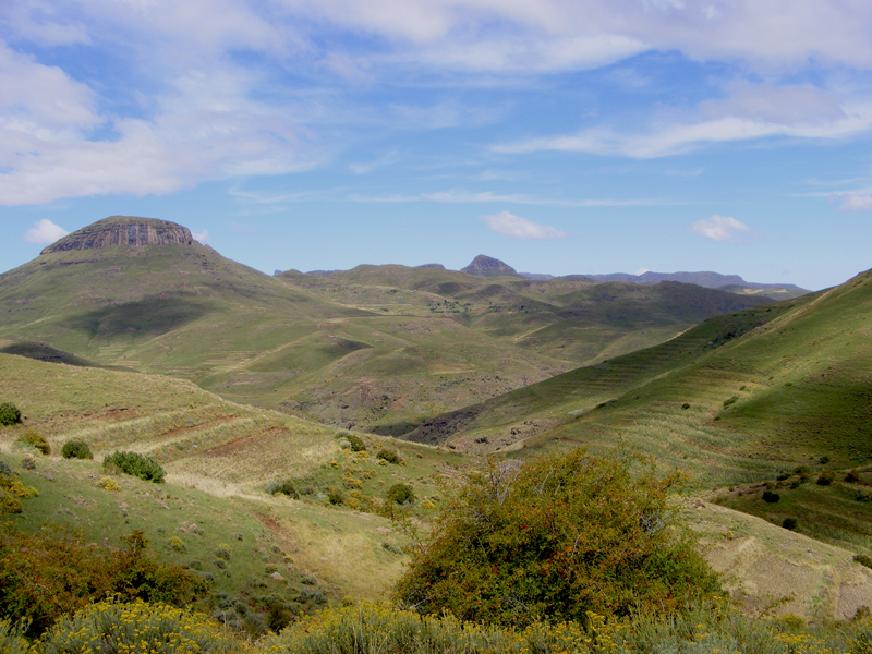 TravellingMan | Semongkong [42]