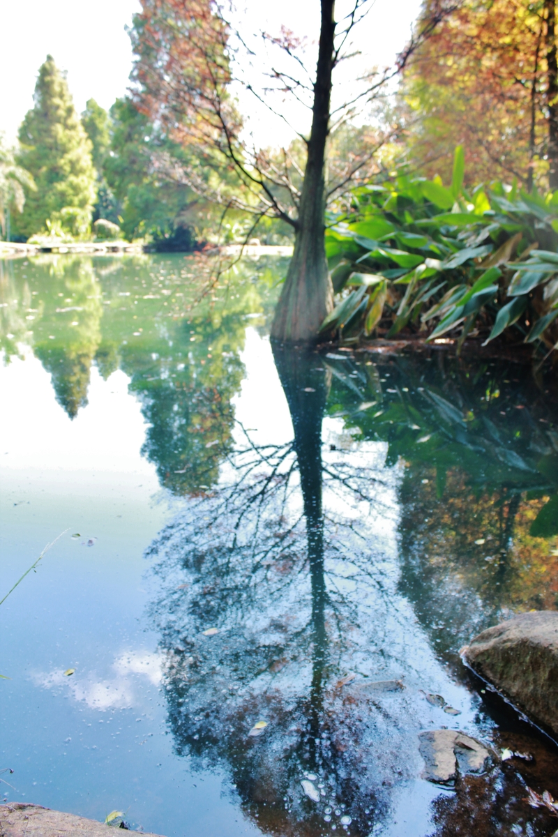 in the face of autumn