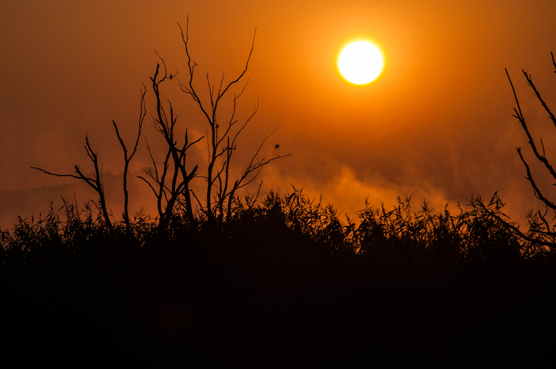 Rietvlei Game Reserve