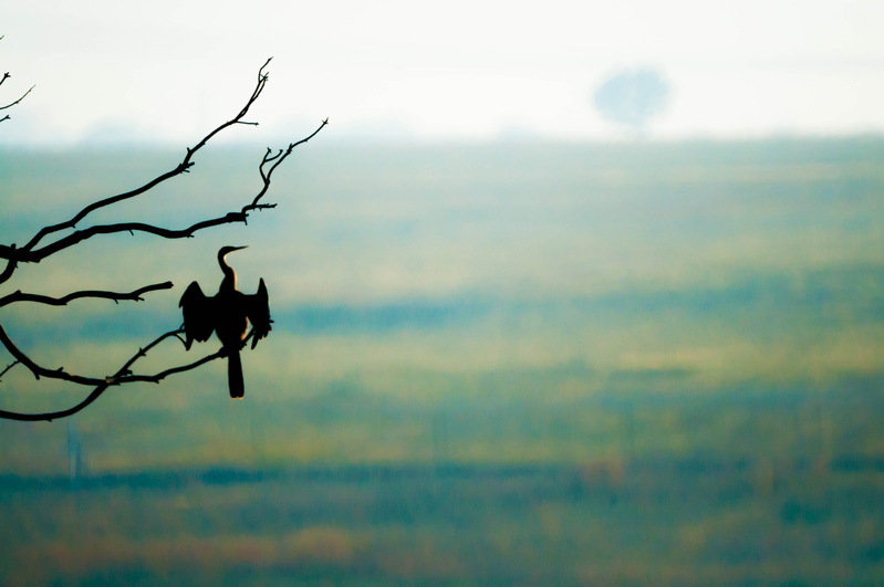 Rietvlei Game Reserve