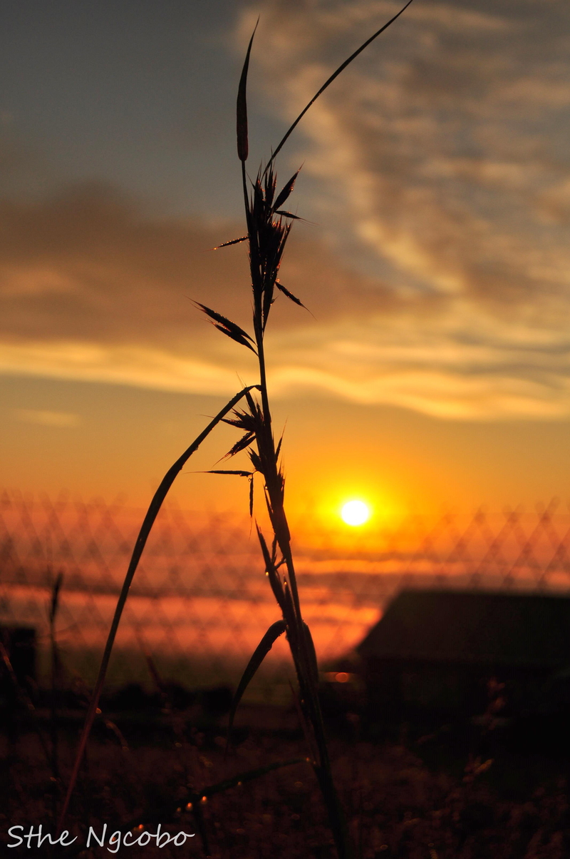 it will be all over...in the morning