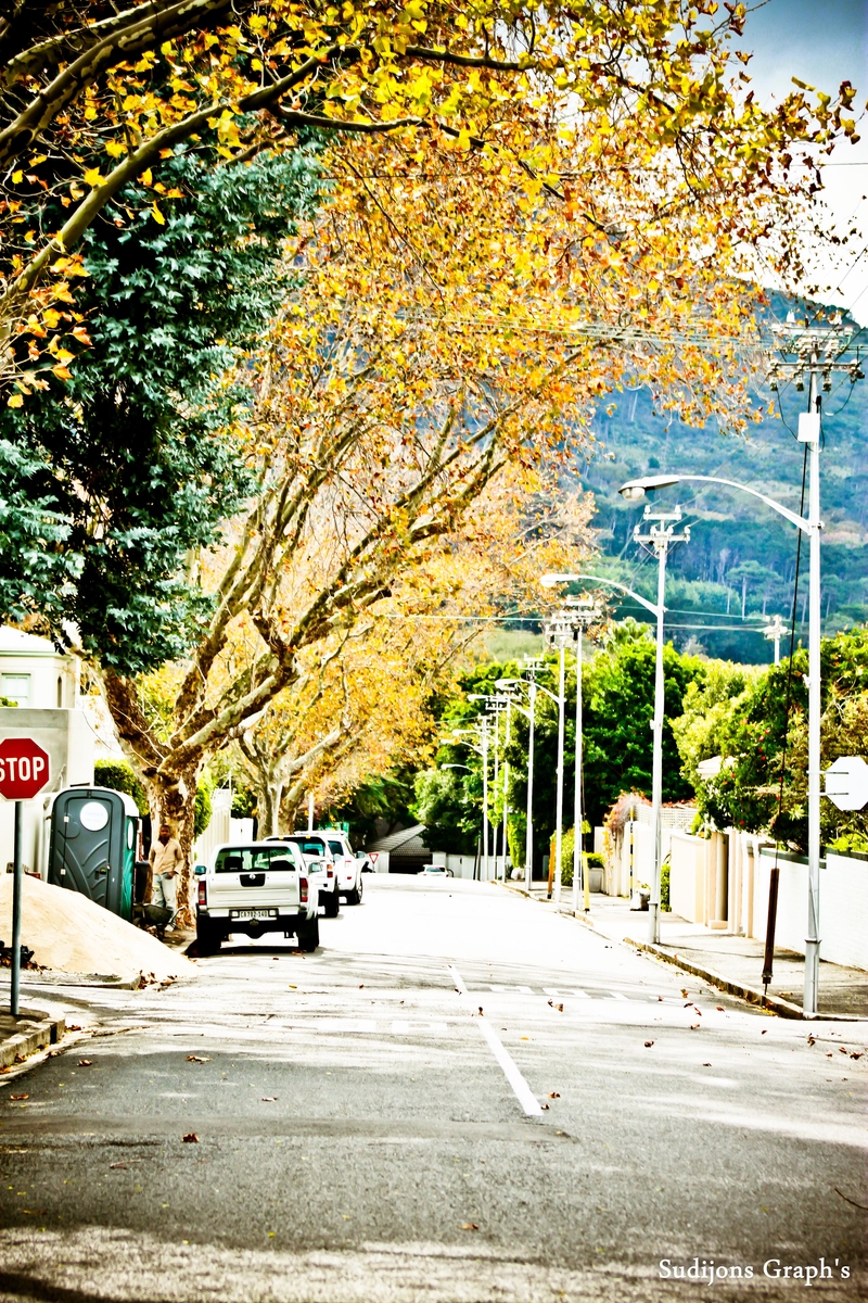 Autumn Fall in Cape Town