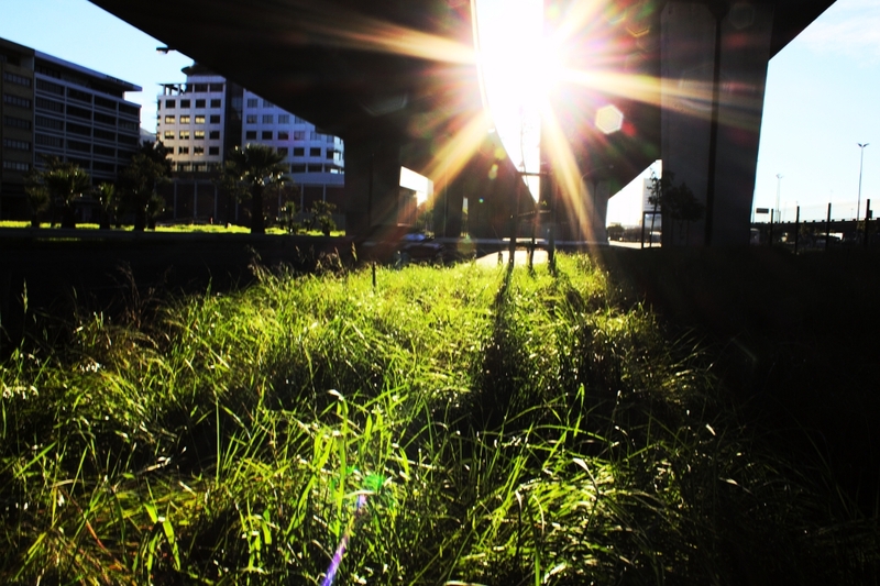 Under the bridge downtown