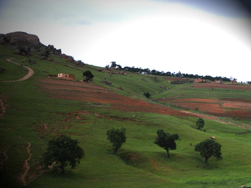 TravellingMan | Swaziland -- Rolling Hills
