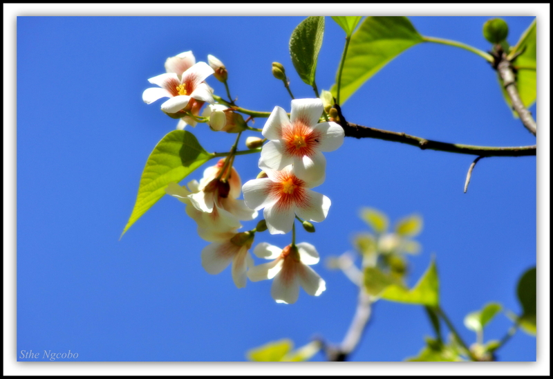 Spring hasn't left me