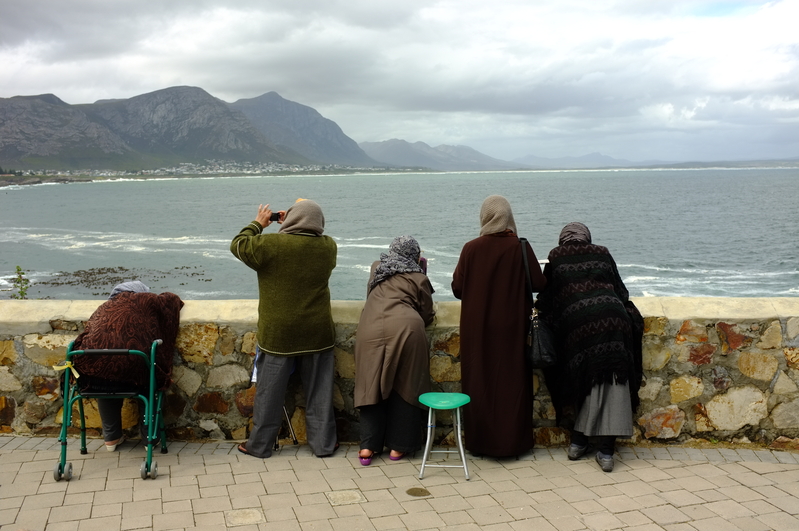 Tieties whale watching