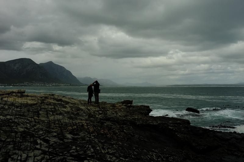 Whale watcher watching