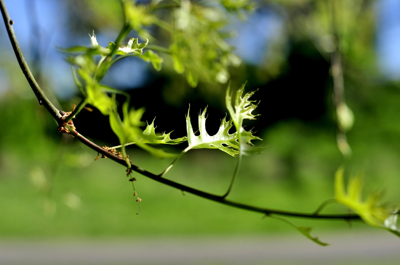 New season....new begginings