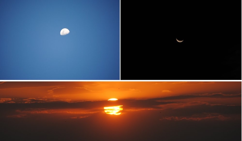 In Perfect Harmony - By Day & By Night