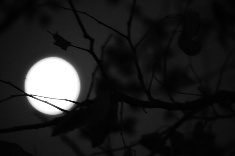 It appears i've learnt something