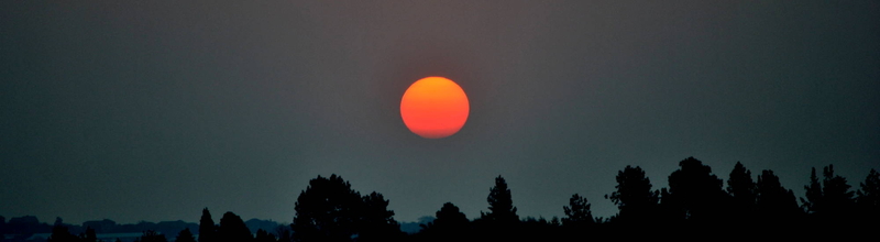 Never Another Forever