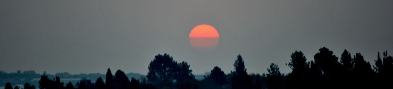 Moments After Forever