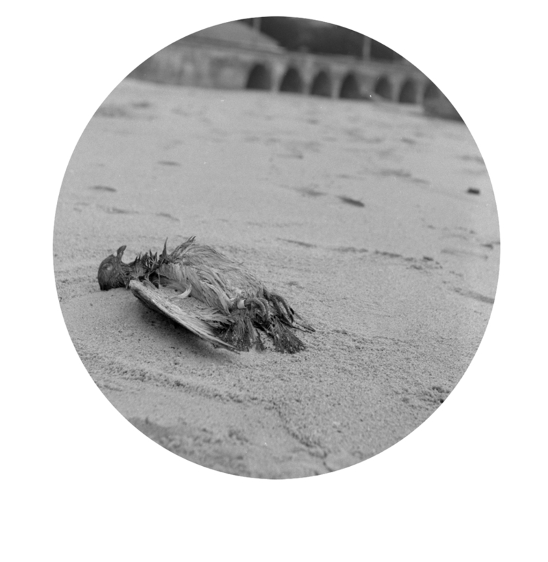 easy like sunday morning