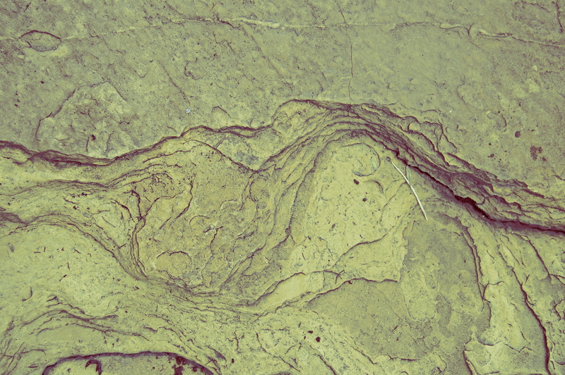 Forces of nature 0.9